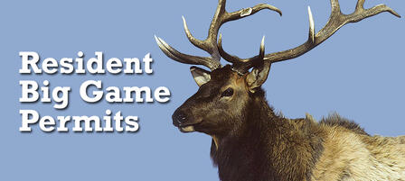 Deadline Approaching for Resident Big Game Permit Applications