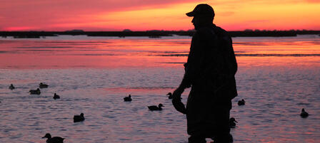 KDWPT Seeks Input From Kansas Waterfowl Hunters