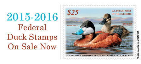2015-2016 Federal Duck Stamps On Sale Now
