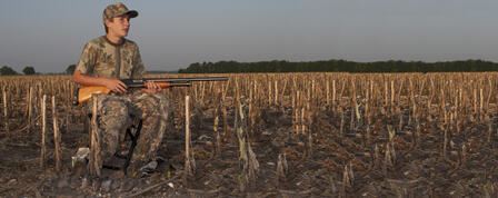 2014 DOVE HUNTING OPPORTUNITIES