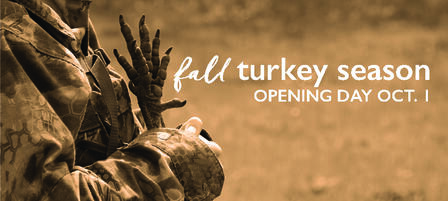 Find Yourself On a Fall Turkey Hunt