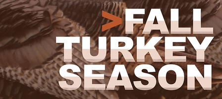 Fall Turkey Hunting Not Your Average Season