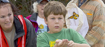 Kansas Wetlands Education Center To Host Butterfly Festival
