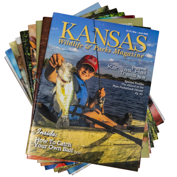 Kansas Wildlife & Parks Magazines