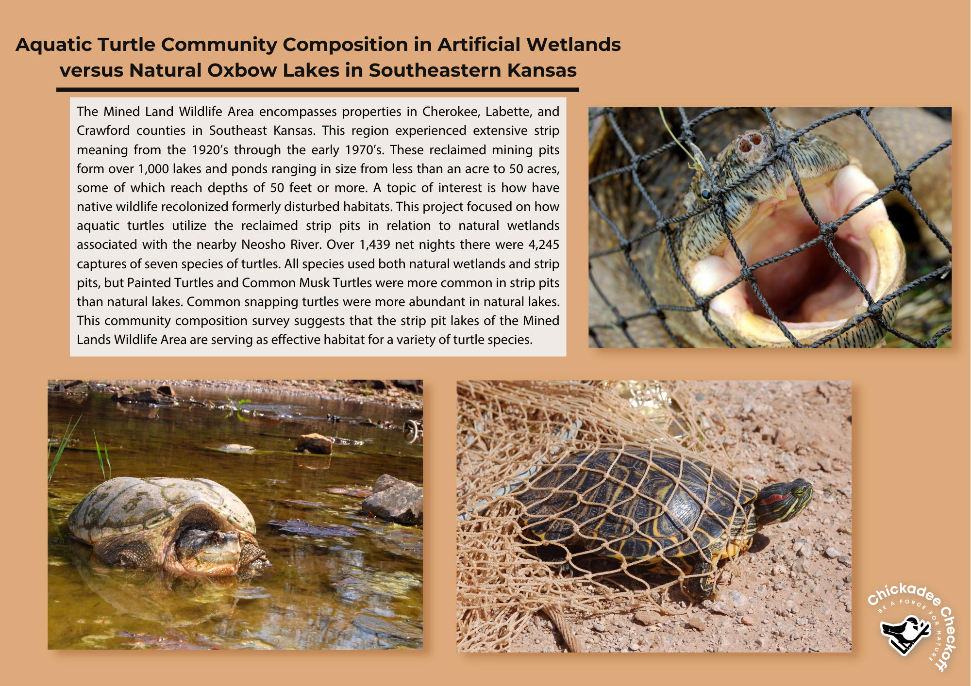 Aquatic Turtle Community