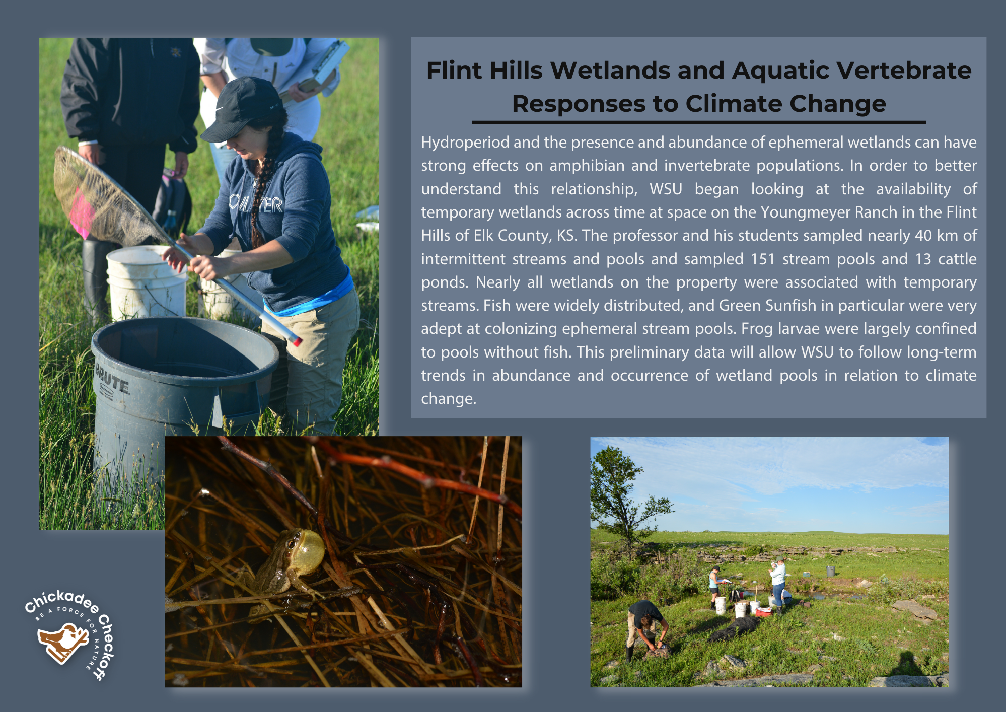 Flint Hills Wetlands and Aquatic Vertebrate Responses to Climate Change