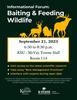 Informational Forum on Baiting & Feeding Wildlife Flier_V2