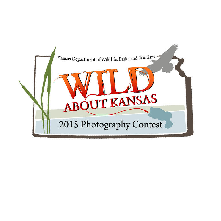 Photo Contest Logo 2015