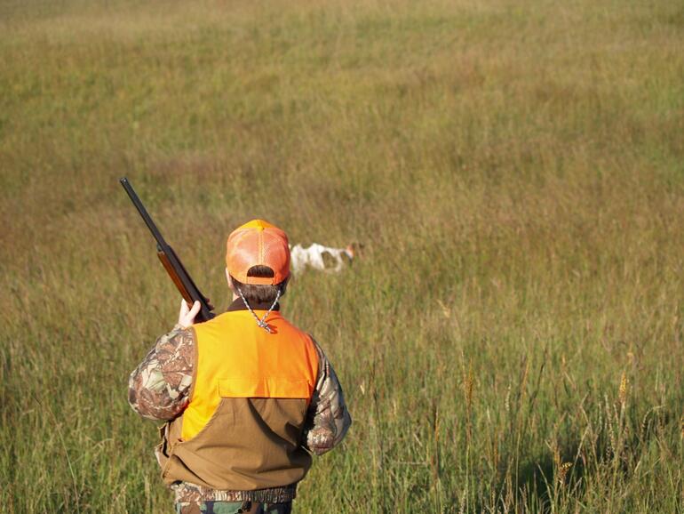 Pheasant Hunt 1