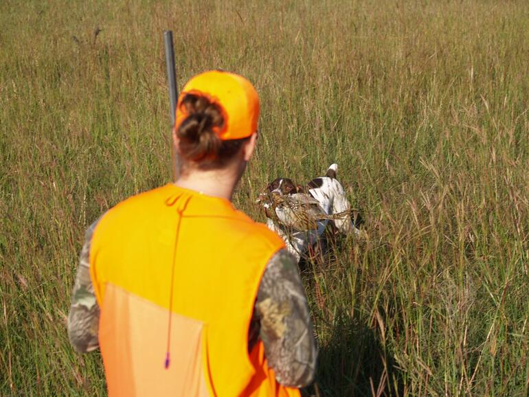 Pheasant Hunt 2