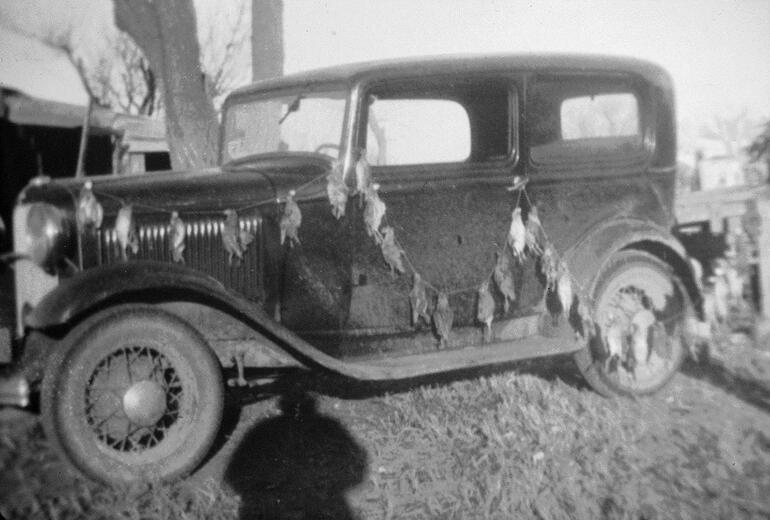 1930's Vehicle with Prairie Chickens