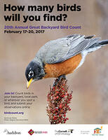 Kansas Winter Bird Feeder Survey